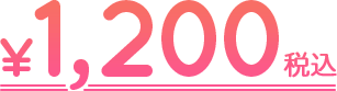 税込価格1,200円